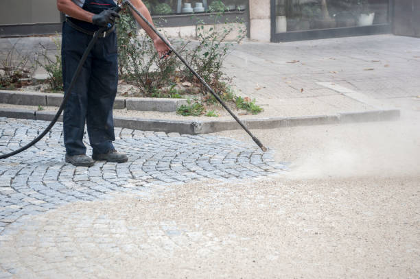 Best Residential Pressure Washing in Franklin Park, IL